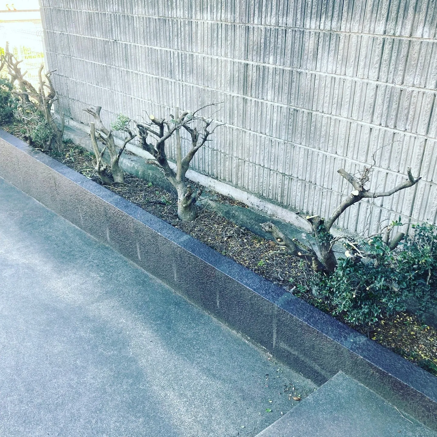 名古屋を拠点に全国で活動する経営コンサルタントの毛利京申です...