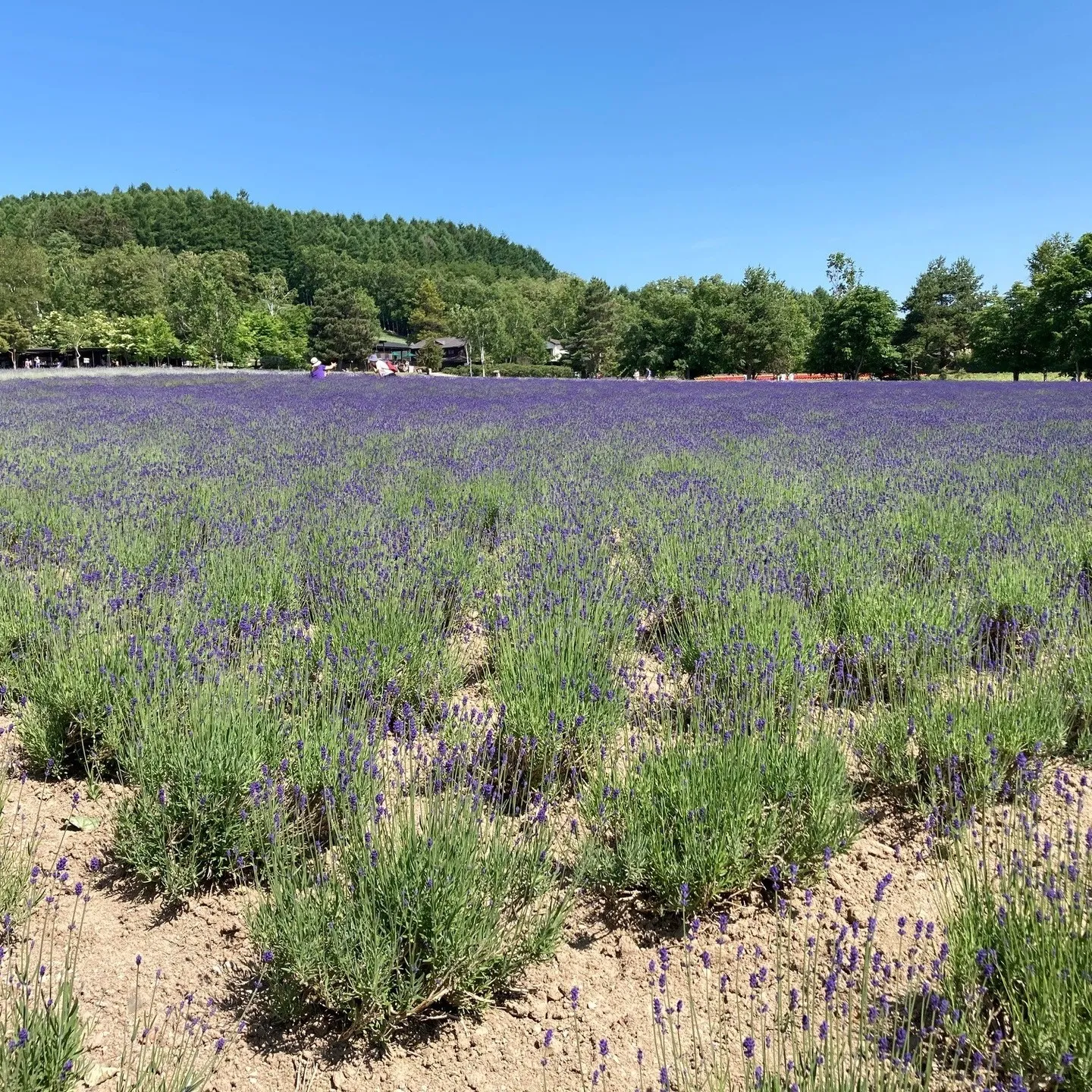 名古屋を拠点に全国で活動する経営コンサルタントの毛利京申（も...