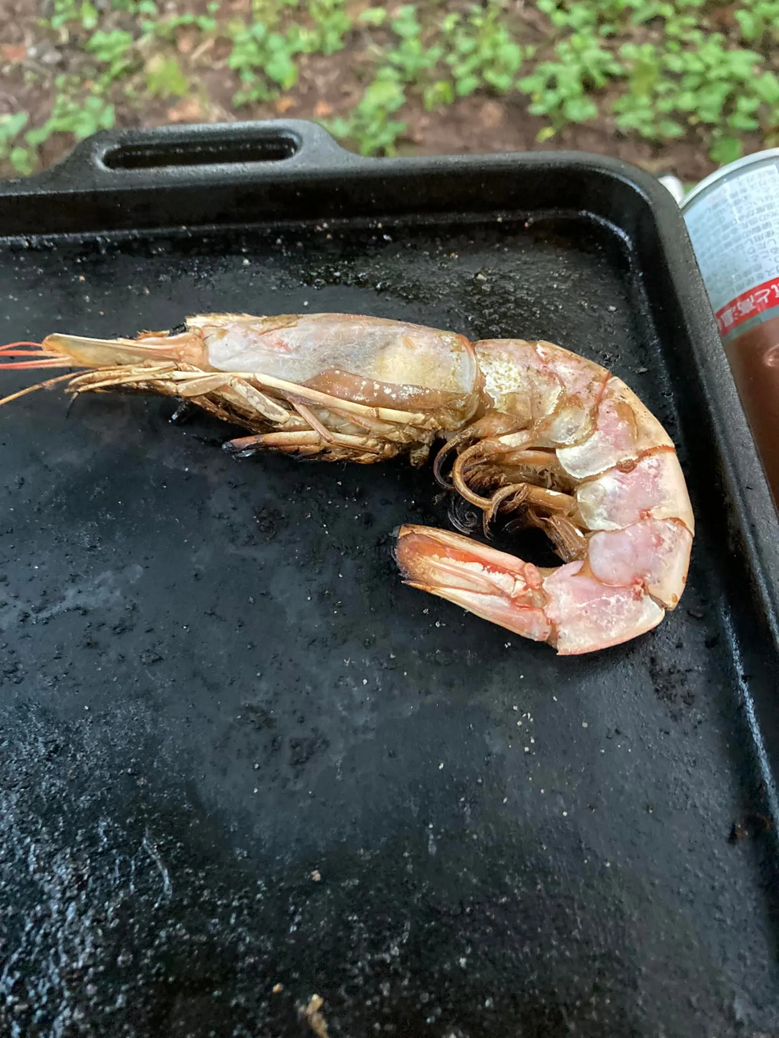 今平湯温泉♨️にキャンプに来ています。