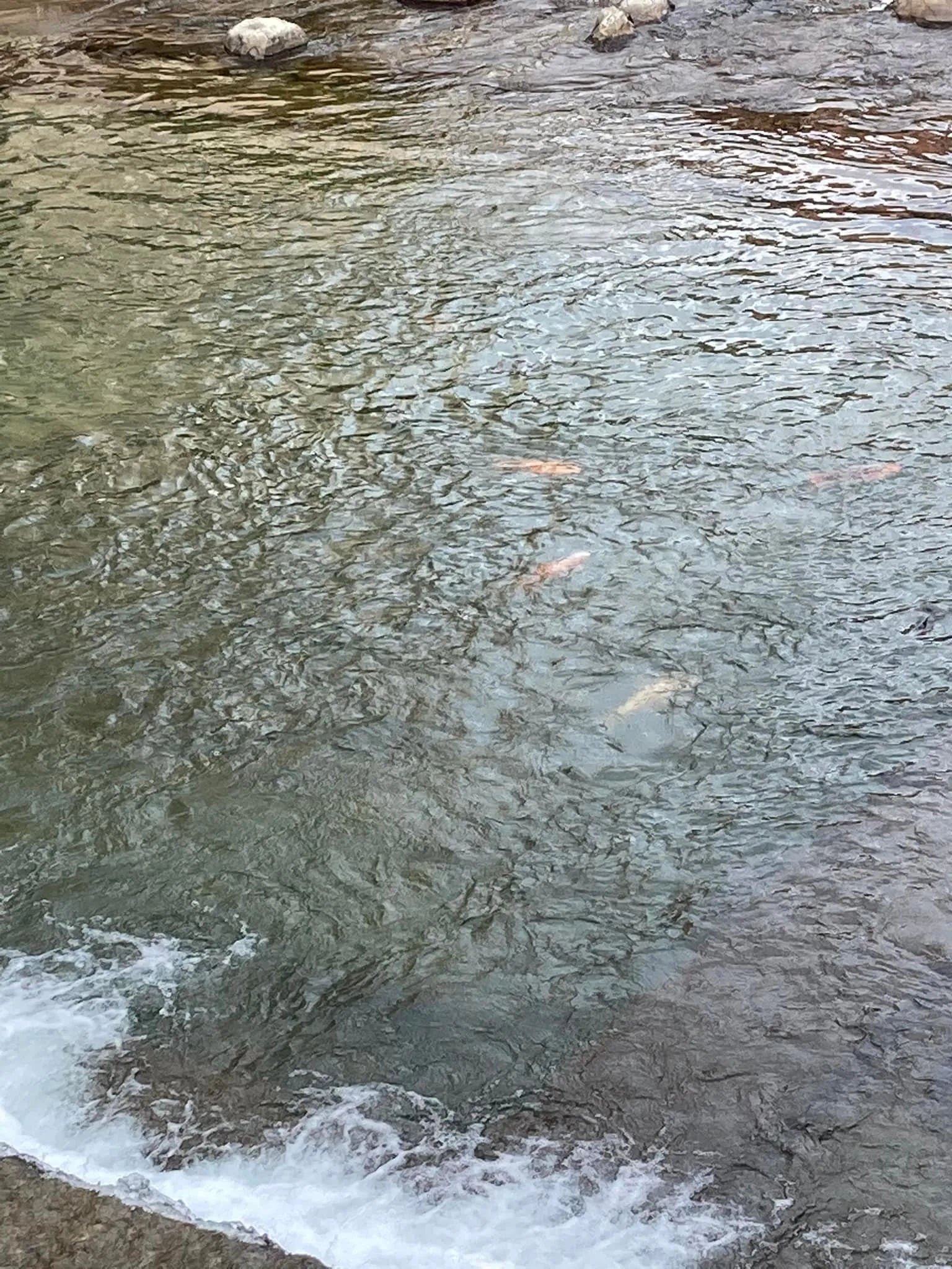 今高山市に降りて来て、おばちゃんの手製の漬け物を買いにきまし...