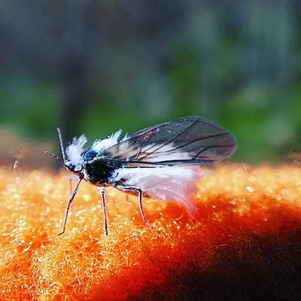 名古屋を拠点に全国で活動する経営コンサルタントの毛利京申（も...