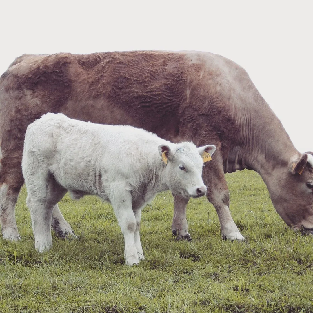 名古屋を拠点に全国で活動する経営コンサルタントの毛利京申です...