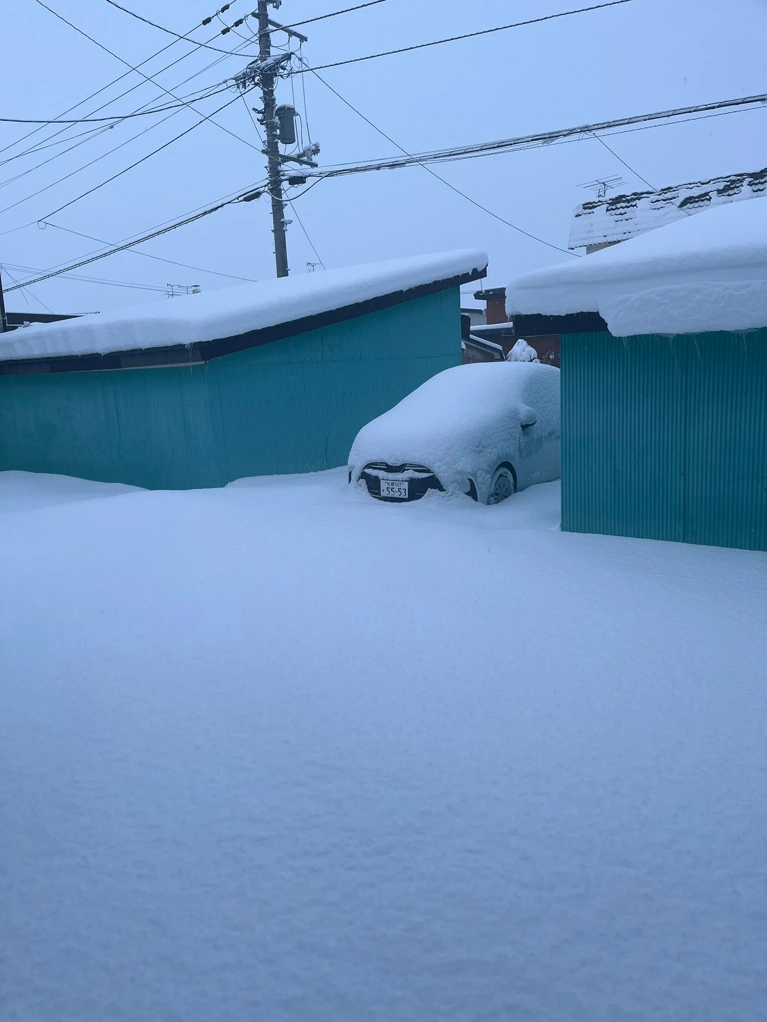 経営コンサルタントの毛利京申🐄です。