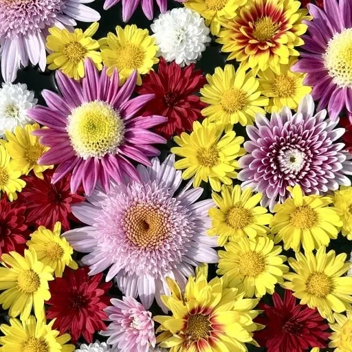 経営にいちばん大切なのは「気づき」である〜現状を見抜く力が会...