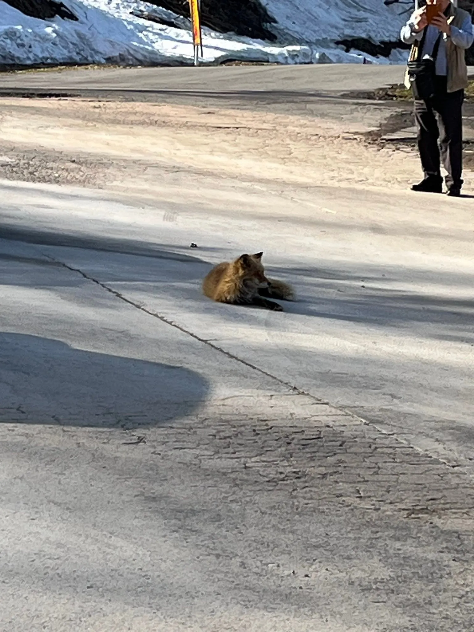 名古屋を拠点に全国で活動する経営コンサルタントのモーちゃんで...
