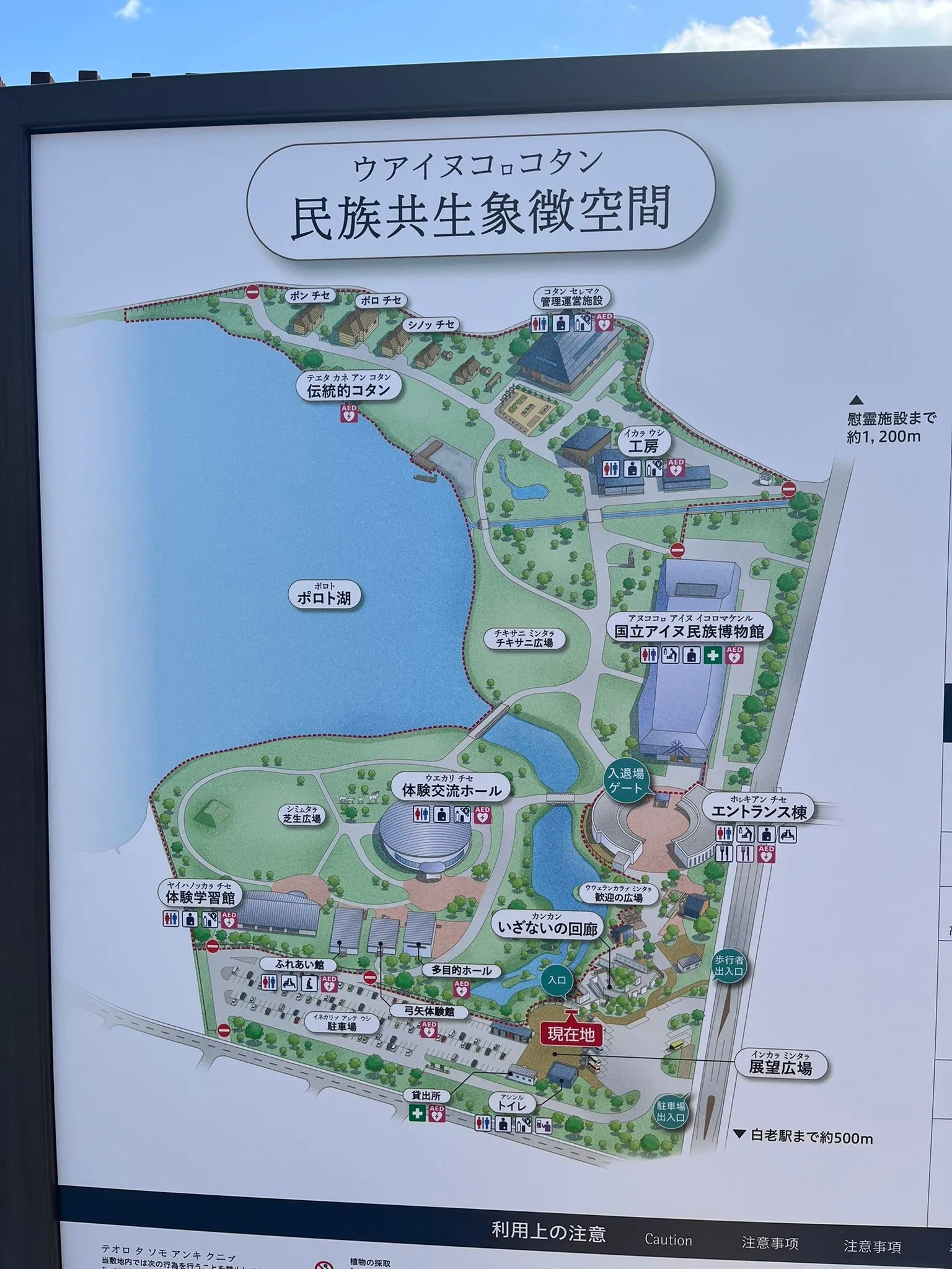 経営コンサルタントのモーちゃんです🐮